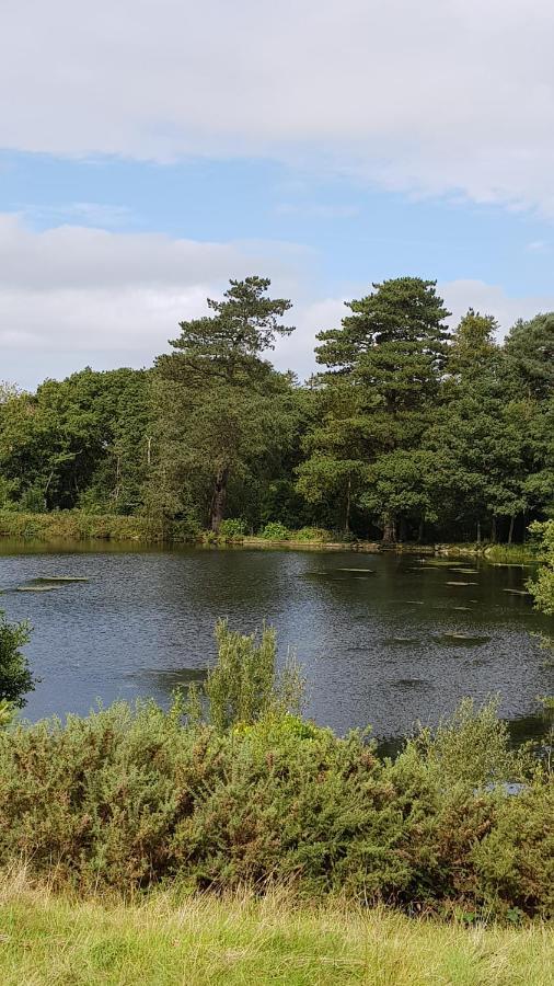 89 Lower Lakeside - Glan Gwna * Caernarfon